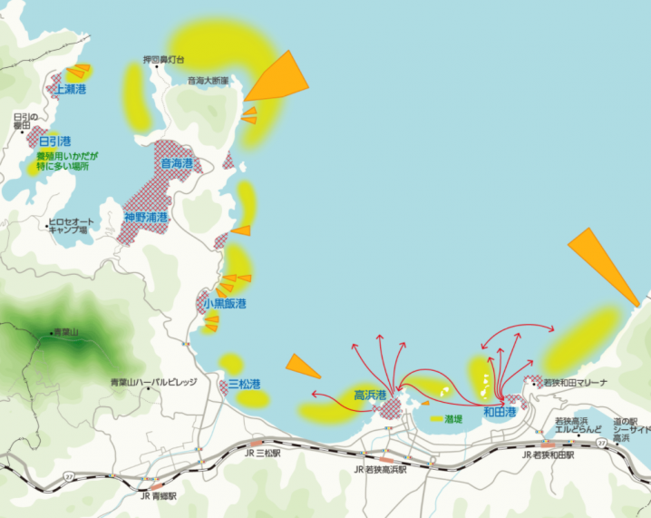 海遊び注意箇所