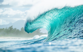 Billabong Pro Pipeline