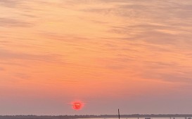 IMG-2664