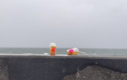 IMG_5875
