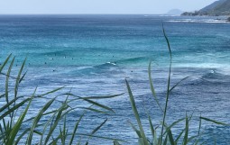 IMG_6135