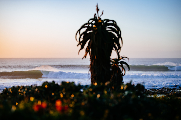 Corona Open J-Bay