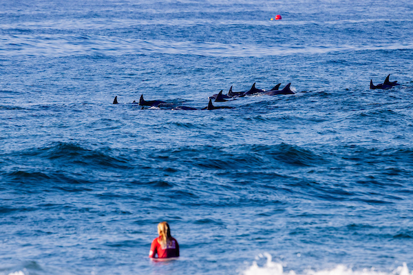 Ballito Pro presented by O'Neill