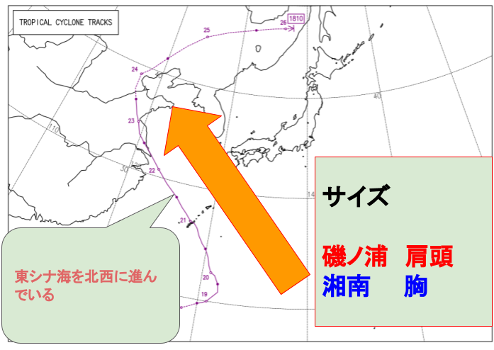 SnapCrab_NoName_2022-7-19_21-9-52_No-00