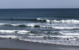 IMG-5272