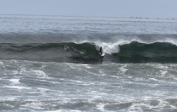 IMG_7706