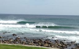 IMG-1231