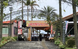 IMG-6782