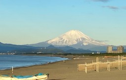 IMG_6459