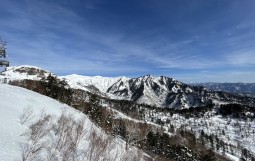 IMG_8529