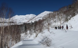 hikeの前半は余裕があったのだが......