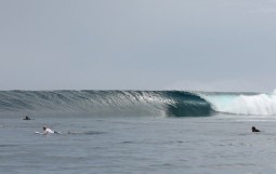 Tavarua-Surf-7