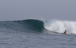 IMG-0485 (1)