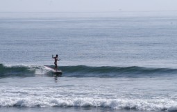 IMG_0581