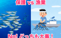 保護vs漁業_NO！どっちも大事！