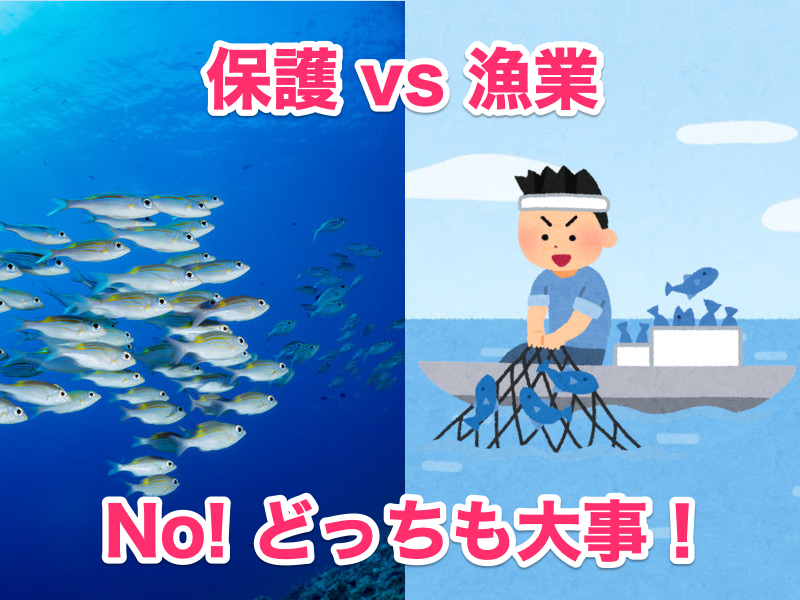 保護vs漁業_NO！どっちも大事！