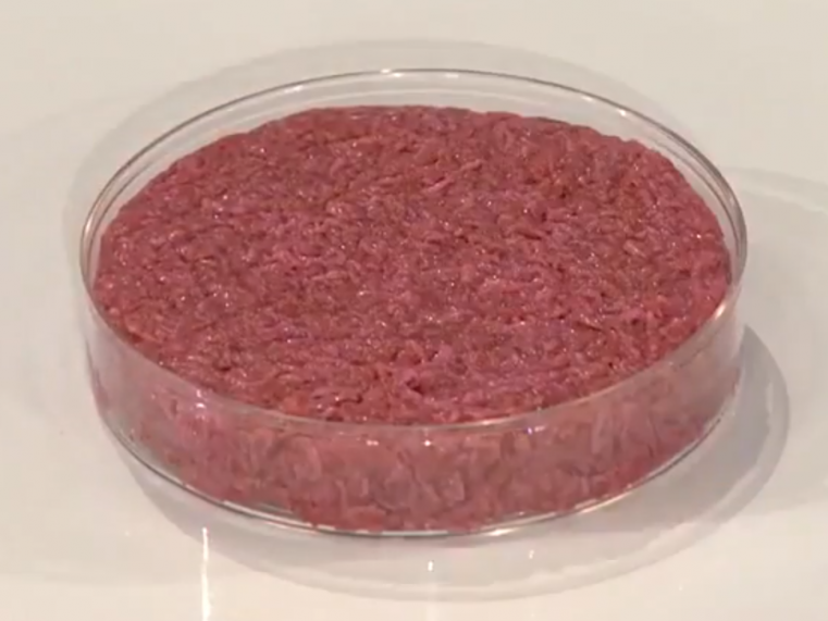 シャーレによってハンバーグ状に形成された培養肉（Wikipediaより転記：CC BY 3.0）
