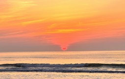 IMG_1124