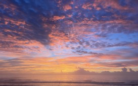 IMG_9029