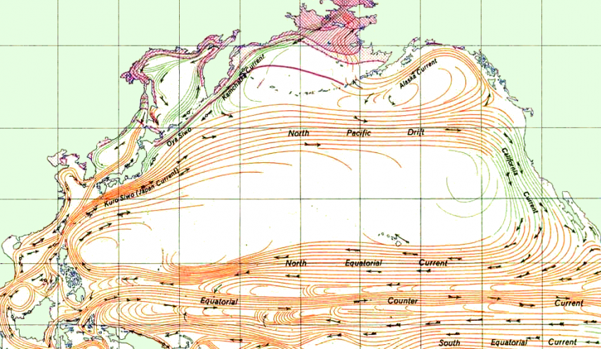 巨大なゴミの海域は、五大海洋循環の一つである北太平洋循環の内側にある。（Jack · talk · - cropped from Image:Ocean currents 1943 (borderless).png, パブリック・ドメイン）