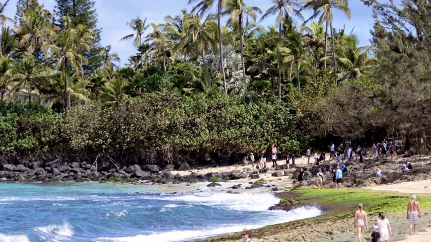 Laniakea Beach