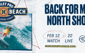 https://www.worldsurfleague.com/events/2024/ct/197/hurley-pro-sunset-beach/main