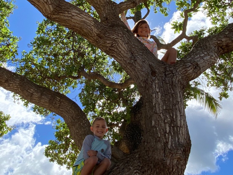 この子達、とても愛嬌が良く可愛らしくて、撮影していた場所のすぐ後ろの木に登り始め、更にもっと上まで登っていった。子供は元気だな〜