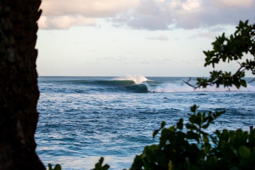 2018 VANS World Cup