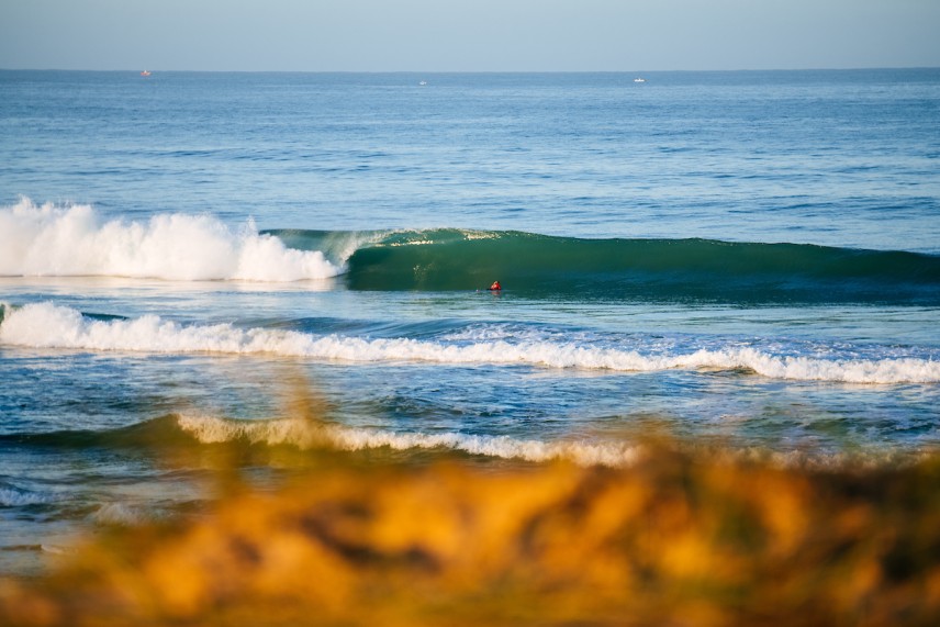 https://www.worldsurfleague.com/events/2024/ct/198/meo-rip-curl-pro-portugal/main