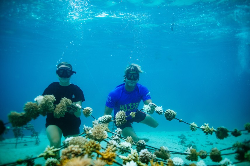 SHISEIDO Tahiti Pro presented by Outerknown