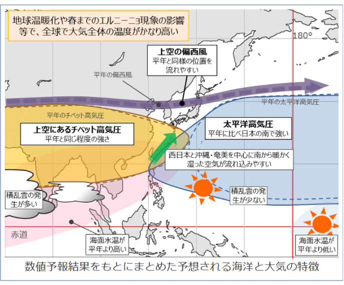 スクリーンショット 2024-06-21 173116