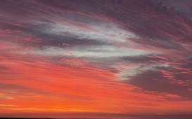IMG_0739