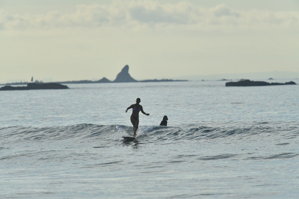 IMG_2012 (1)
