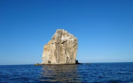 エンドレスサマーが世界に紹介して人気となったウィッチーズロック