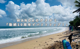 ウラナミ