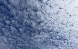 IMG_0798