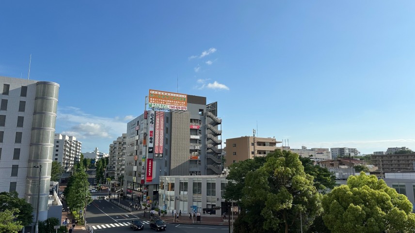 image_123650291 (12)