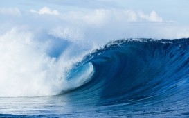 Corona Fiji Pro