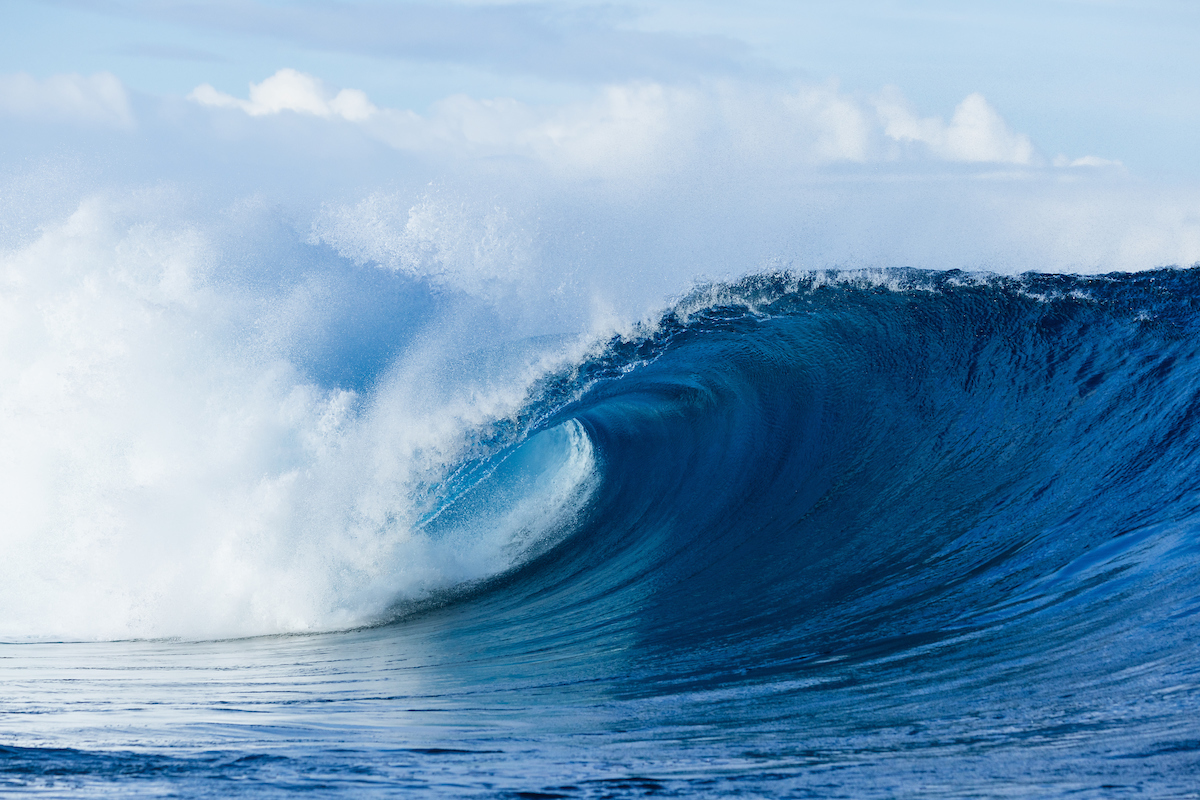 Corona Fiji Pro