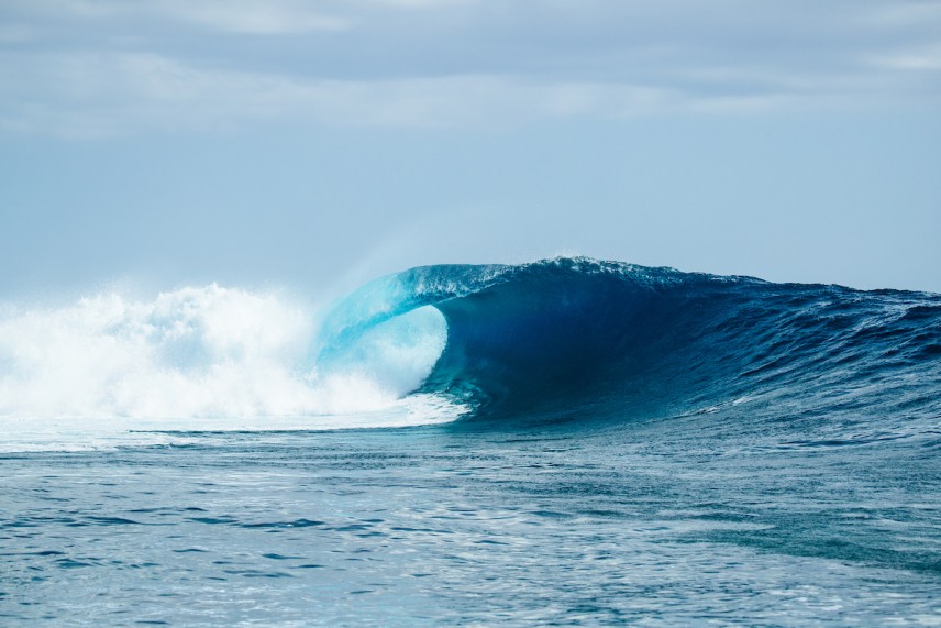 Corona Fiji Pro