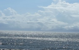 IMG_4219