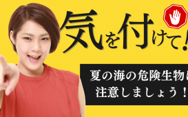 海には危険生物がたくさん！