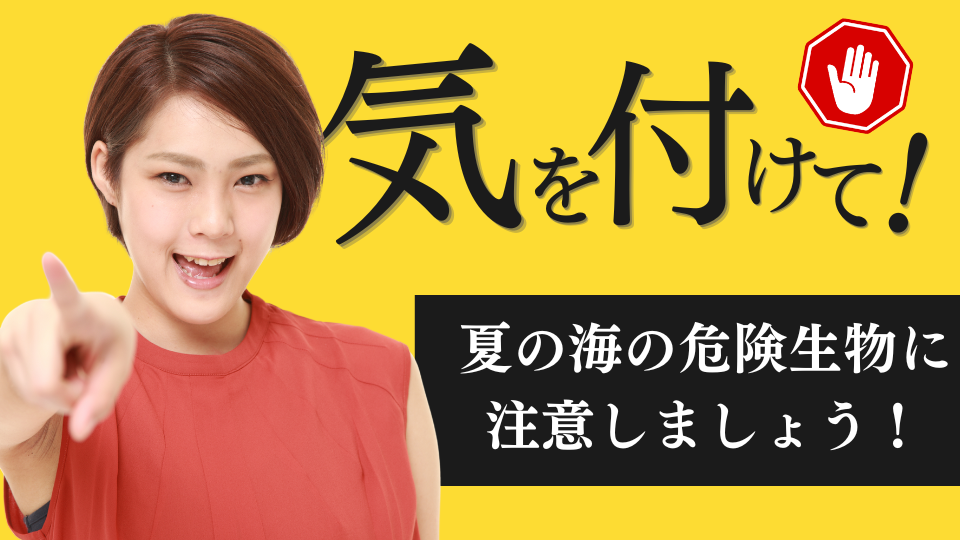 海には危険生物がたくさん！
