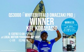 PC WEB用