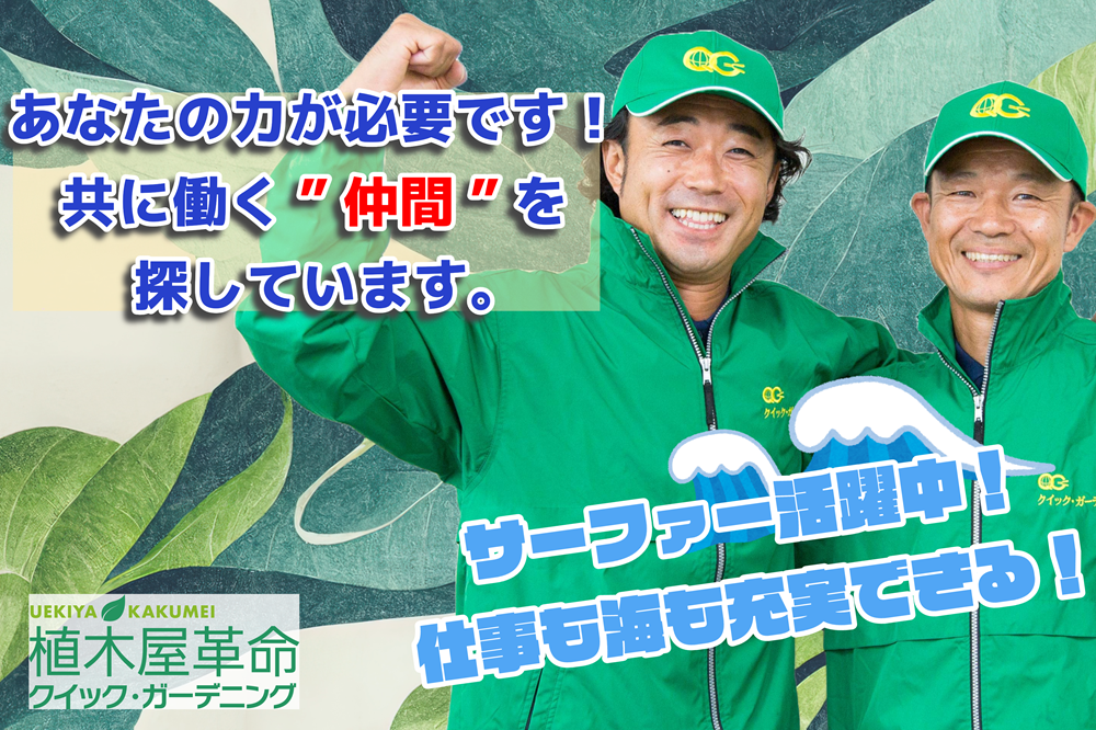 波伝説 (3)