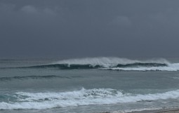 IMG_1546