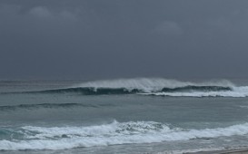 IMG_1546