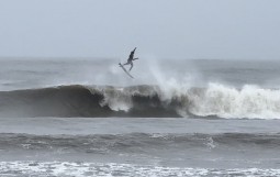 IMG_3031