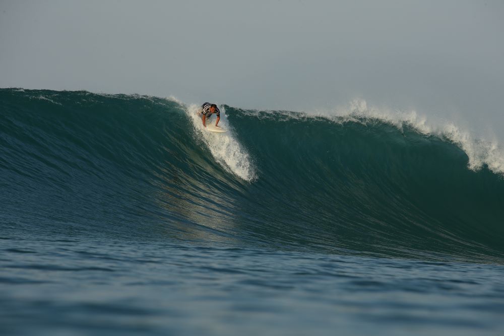 BIG DROP OGURA