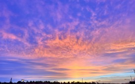 IMG_5450